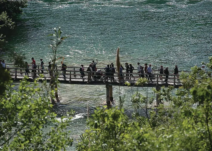 בית נופש 58 *